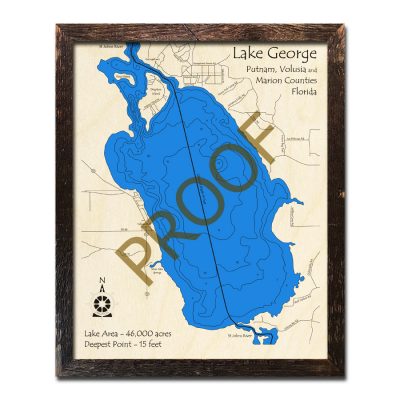 Lake George Wood Map in 3d florida