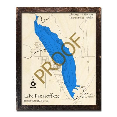 Lake Panasoffkee wood map 3d florida