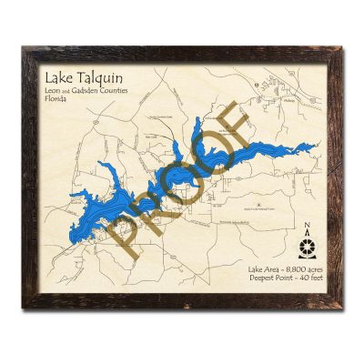 Lake Talquin wood map in 3d