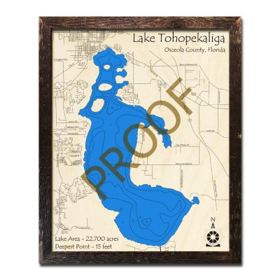 Lake Tohopekaliga wood map 3d florida