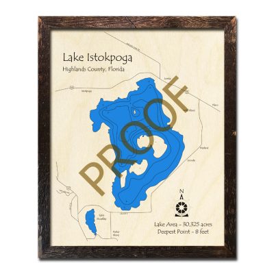 Lake Istokpoga Wood Map 3d