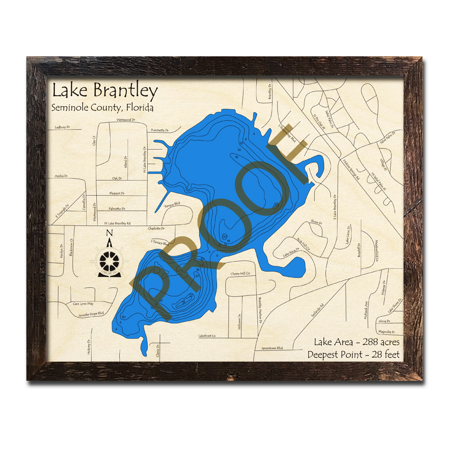 Lake Brantley, FL Wood Map 3D Topographic Wood Chart