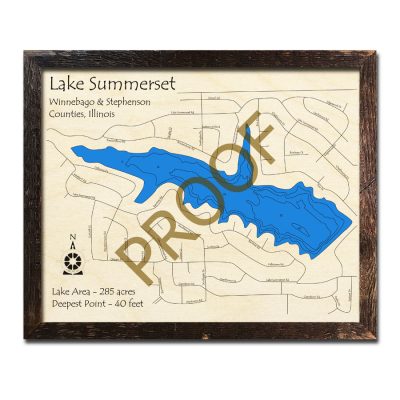Lake Summerset Wood Map 3d