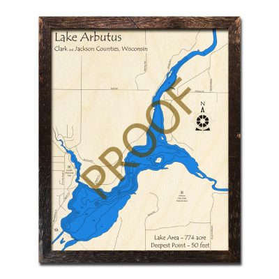 Arbutus Lake 3D Wooden Map
