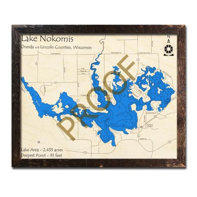 Lake Nokomis 3d wood map