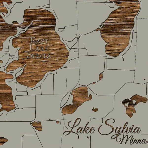 Lake Sylvia, MN Wooden Street Map Burnt LaserCut Wall Map
