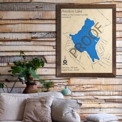 Amston Lake 3D Wood Map