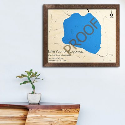 Lake Wononskopomuc CT 3D Wood Map