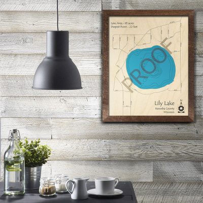 Lily Lake Kenosha County 3D Wood Map